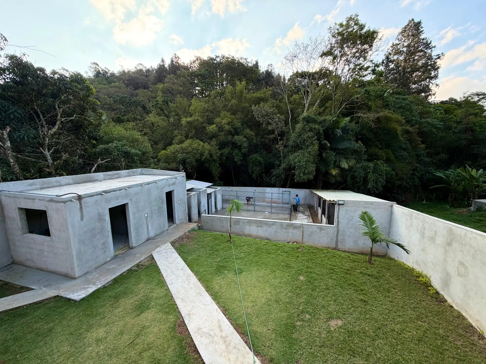 Pátio do canil com gramado e área de convivência dos cães